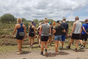 Arusha: 4-Day Tarangire Serengeti Ngorongoro Camping Safari