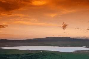 Arusha: 5-Day Great Migration Calving season Safari