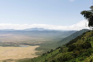 Arusha: safari congiunto di 5 giorni nel circuito settentrionale della Tanzania