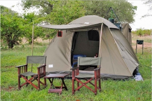 Arusha : 5 jours de safari commun dans le circuit nord de la Tanzanie