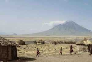 Arusha: 5 päivän maasai-kulttuurikokemus ja safari