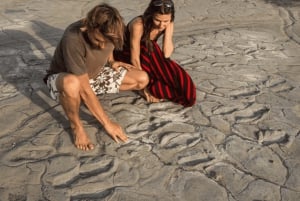 Arusha: 5 päivän maasai-kulttuurikokemus ja safari