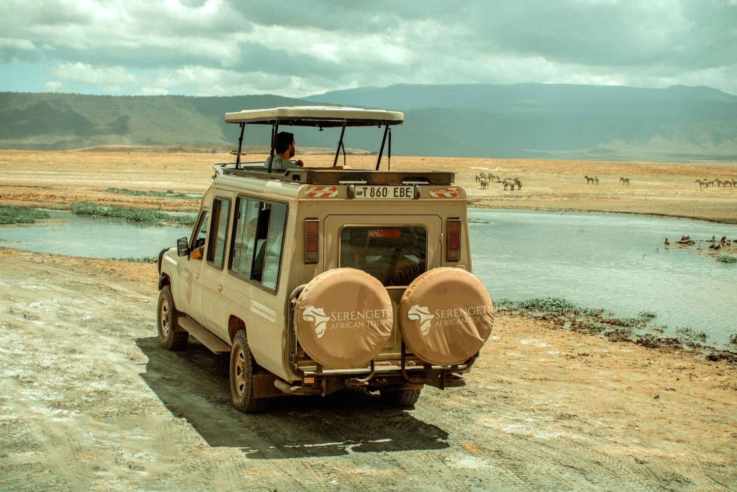 Arusha: Safari di 5 giorni nel Serengeti durante la stagione dei parti a Ndutu
