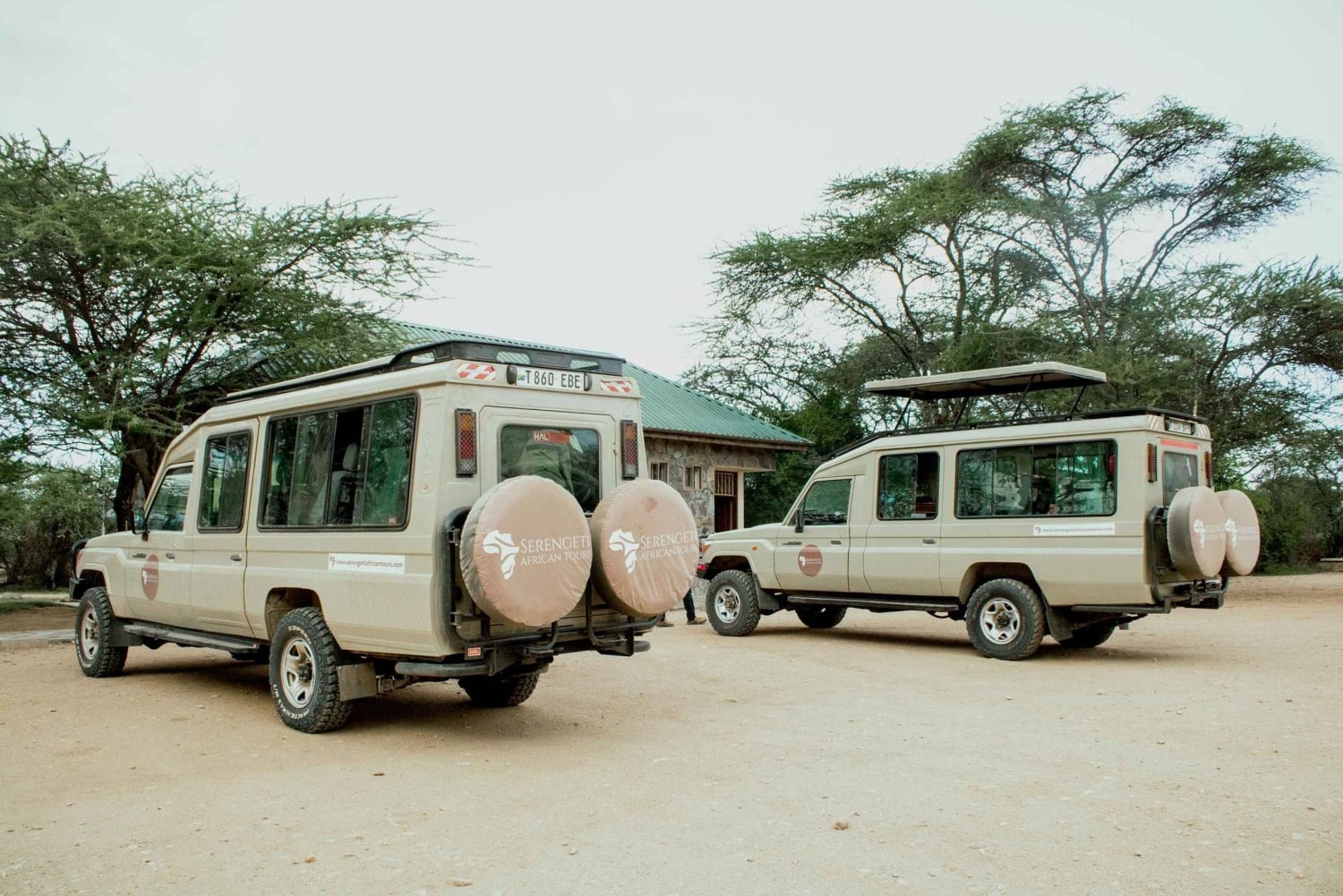 Arusha: Safari di 5 giorni nel Serengeti durante la stagione dei parti a Ndutu