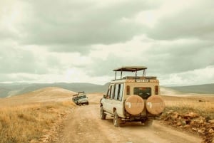 Arusha: 5-dniowe safari w Serengeti w sezonie wycieleń w Ndutu