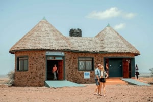 Arusha: 5-dniowe safari w Serengeti w sezonie wycieleń w Ndutu