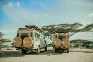Arusha: 5-dniowe safari w Serengeti w sezonie wycieleń w Ndutu