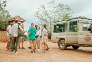 Arusha: 5-dniowe safari w Serengeti w sezonie wycieleń w Ndutu