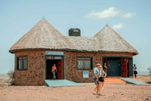 Arusha: Safari di 5 giorni nel Serengeti durante la stagione dei parti a Ndutu