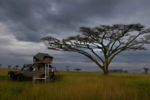 Arusha : 5 päivän safariseikkailu ja Kilimanjaron kiipeäminen