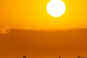 Arusha: 5 päivän safari Serengetiin, Ngorongoroon ja Natron-järvelle