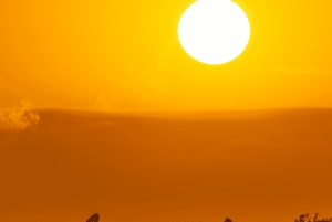 Arusha: 5-dagars safari i Serengeti, Ngorongoro och Natronsjön