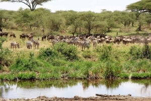 5 Tage Gruppenreise „Big 5 Exploration”