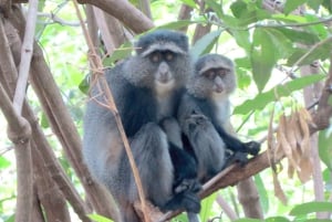 5 Tage Gruppenreise „Big 5 Exploration”