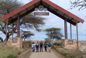 Arusha: Safari de 5 días al lago Manyara, Serengeti y Ngorongoro