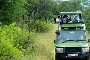 Arusha: 4 dager med Serengeti, Ngorongoro og Tarangire