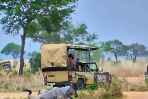 Zanzibar : baignade avec les tortues et visite du sanctuaire de la grotte de Salaam