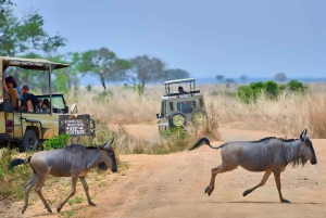 Zanzibar : baignade avec les tortues et visite du sanctuaire de la grotte de Salaam