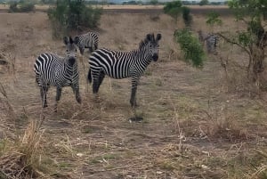 Zanzibar : baignade avec les tortues et visite du sanctuaire de la grotte de Salaam