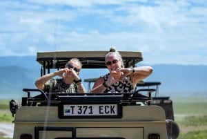 Arusha: 6-tägige Serengeti und Ngorongoro Krater Safari