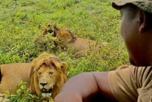 Arusha: 6-tägige Serengeti und Ngorongoro Krater Safari