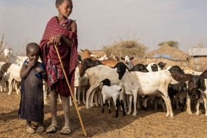 Arusha: Safari di 6 giorni nel Serengeti con visita al villaggio Masai