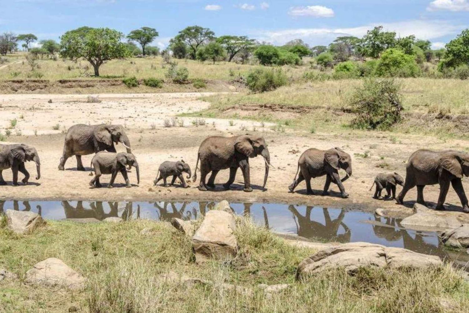 Arusha: 6 giorni di avventura nella natura selvaggia della Tanzania