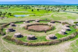 Arusha: 6 giorni di avventura nella natura selvaggia della Tanzania