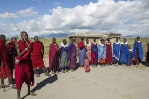 Arusha: 6 giorni di avventura nella natura selvaggia della Tanzania