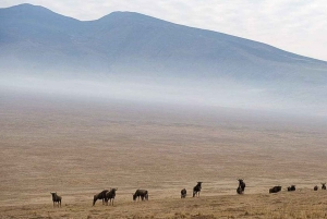 Arusha: 6 giorni di avventura nella natura selvaggia della Tanzania