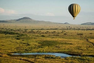 Arusha: 6 giorni di avventura nella natura selvaggia della Tanzania