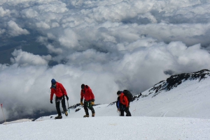 Arusha: 7 dias de caminhada pela Rota Lemosho do Kilimanjaro com estadia num hotel