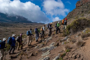 Arusha: 7 dias de caminhada pela Rota Lemosho do Kilimanjaro com estadia num hotel