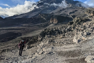 Arusha: 7 dias de caminhada pela Rota Lemosho do Kilimanjaro com estadia num hotel