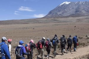 Arusha: 7 päivän opastettu Kilimanjaron Machame-reitti