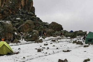 Arusha: 7 päivän opastettu Kilimanjaron Machame-reitti