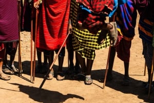 Arusza: 7-dniowe safari Odkryj prawdziwą Afrykę znad jeziora Manyara