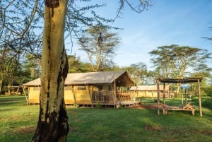 Arusza: 7-dniowe safari Odkryj prawdziwą Afrykę znad jeziora Manyara