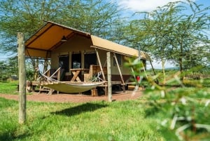 Arusza: 7-dniowe safari Odkryj prawdziwą Afrykę znad jeziora Manyara