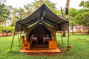 Arusza: 7-dniowe safari Odkryj prawdziwą Afrykę znad jeziora Manyara