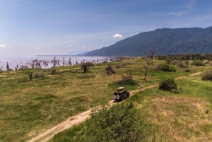 Arusza: 7-dniowe safari Odkryj prawdziwą Afrykę znad jeziora Manyara