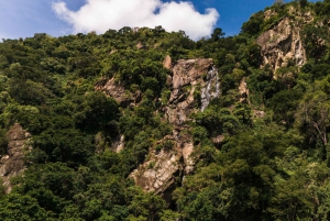 Arusza: 7-dniowe safari Odkryj prawdziwą Afrykę znad jeziora Manyara