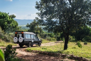 Arusza: 7-dniowe safari Odkryj prawdziwą Afrykę znad jeziora Manyara