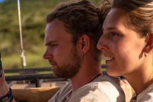 Arusza: 7-dniowe safari Odkryj prawdziwą Afrykę znad jeziora Manyara