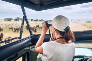 Arusha: 8-Day Serengeti Migration Safari Tour