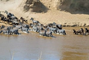 Arusha: 8-Day Serengeti Migration Safari Tour