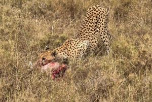 Arusha: 9-Day Photographic Camping Safari