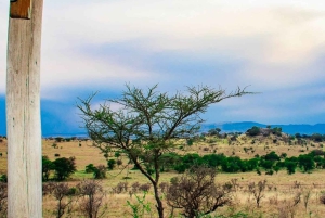 アルーシャ：9日間の究極のサファリアドベンチャー