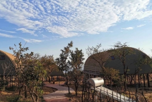 アルーシャ：9日間の究極のサファリアドベンチャー