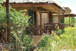 アルーシャ：9日間の究極のサファリアドベンチャー